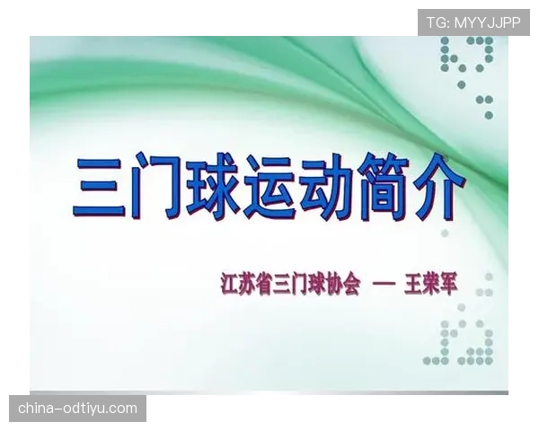 比赛用球的规格与规则标准详解及裁判执行细则
